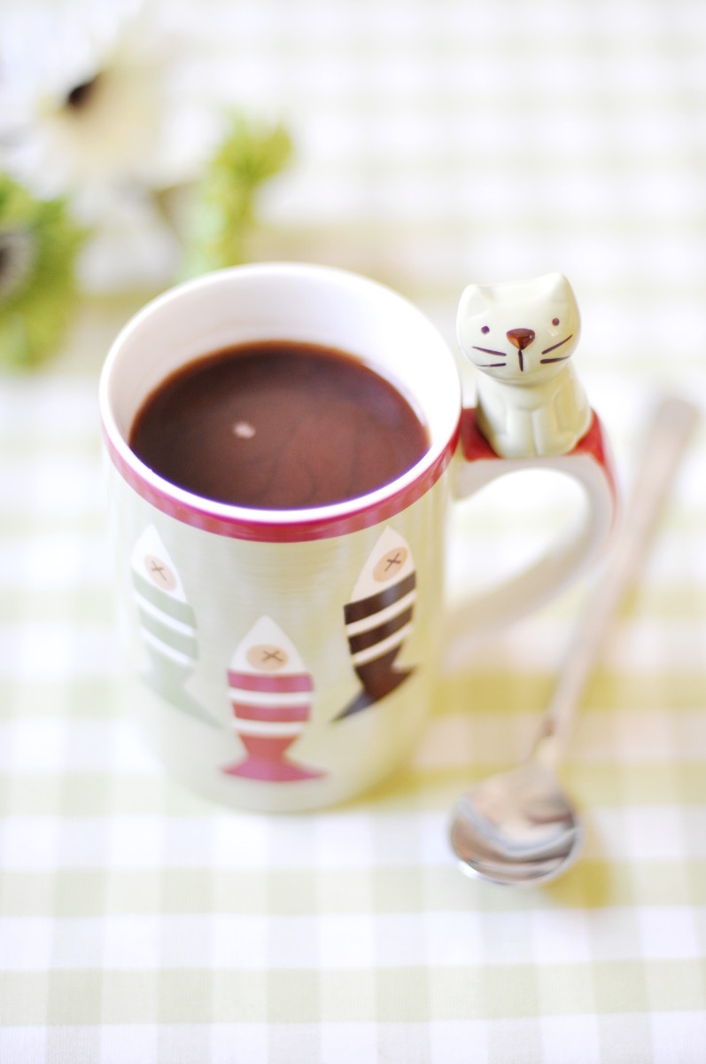 Homemade Hot Cocoa