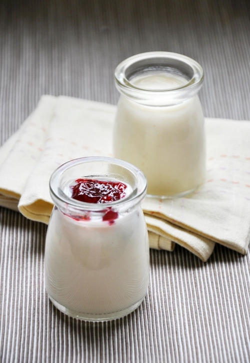 home-made-non-dairy-yogurt-1