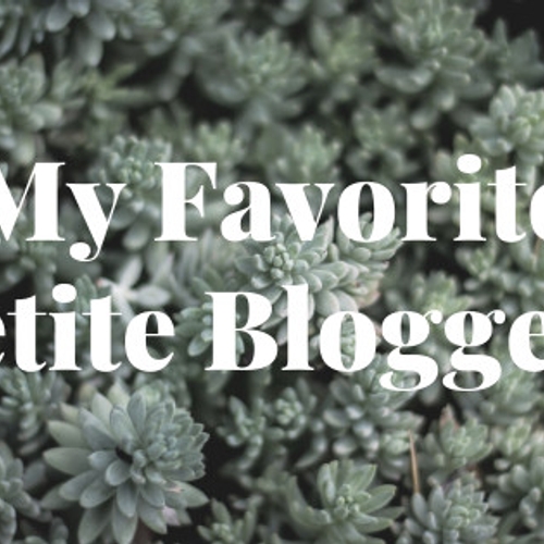 my-fav-petite-bloggers