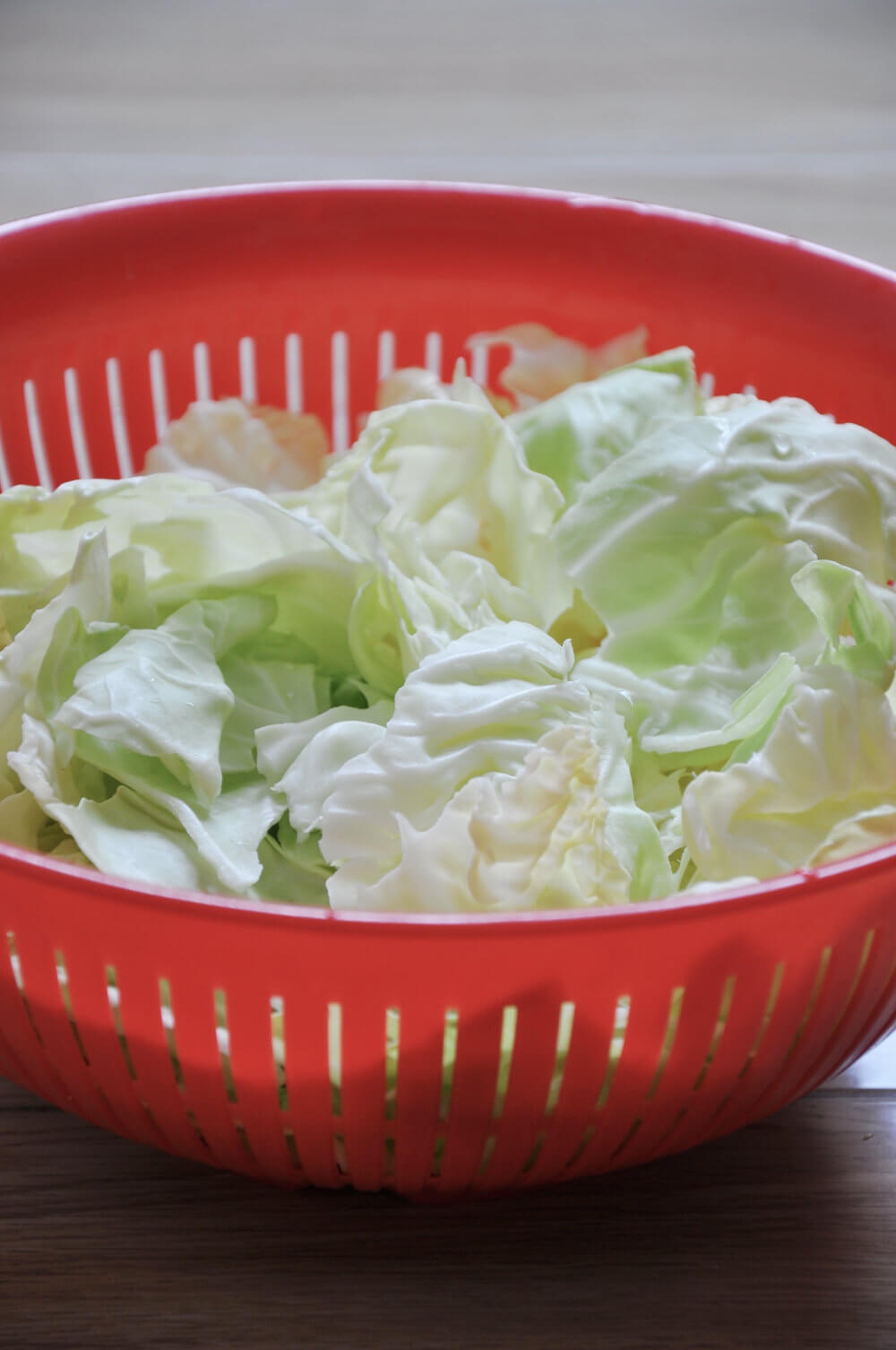 Cabbage Stir Fry